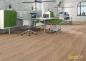 Preview: Corpet Dekor Wintereiche - Klebevinyl, 0,3mm, 3,40m²/Paket